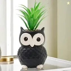 The Better Home Artificial Plants with Pot (21cm Owl Shaped Green Pine