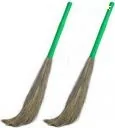 Spotselling Grass Dry Broom(Green, 2 Units)