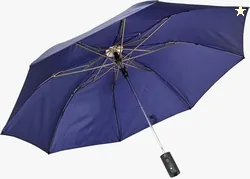 Flipkart SmartBuy 2 fold Auto Open Polyester Umbrella (Blue)