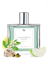 EM5 Ocean Breeze Perfume for Men | Fruity Citrus Fresh Warm Spicy Frag