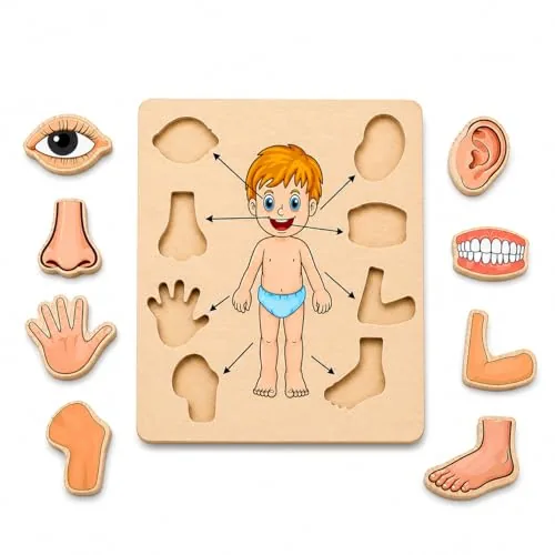 MKV MART Body Part Puzzle Kids Wooden Toys for Kids 3 + Jigsaw Puzzles for Adults Baby Learning Toys Educational Toys Game for Learning Human Body Parts Anatomy Skeleton - Gift Toys for Boy and Girl