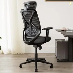 CARLTON LONDON Atlas Mesh Office Adjustable Arm Chair (Black, Opt...more