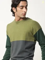 RARE RABBIT Men Green Tanko Slim Fit Colourblocked Pullover Sweater
